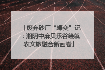 废弃砂厂“蝶变”记：湘阴中麻贝乐谷绘就农文旅融合新画卷