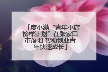 度小满“青年小店榜样计划”在张家口市落地 帮助创业青年快速成长