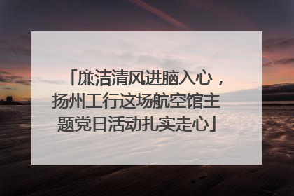 廉洁清风进脑入心，扬州工行这场航空馆主题党日活动扎实走心
