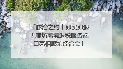 廊洽之约丨即买即退！廊坊离境退税服务端口亮相廊坊经洽会