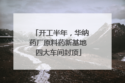 开工半年，华纳药厂原料药新基地四大车间封顶