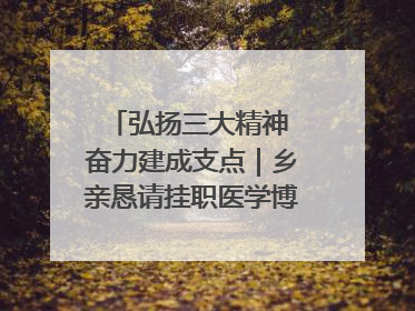 弘扬三大精神 奋力建成支点｜乡亲恳请挂职医学博士再留一年