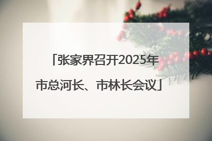 张家界召开2025年市总河长、市林长会议
