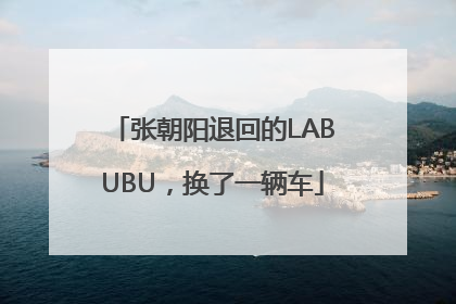 张朝阳退回的LABUBU，换了一辆车
