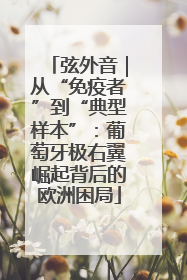 弦外音｜从“免疫者”到“典型样本”：葡萄牙极右翼崛起背后的欧洲困局