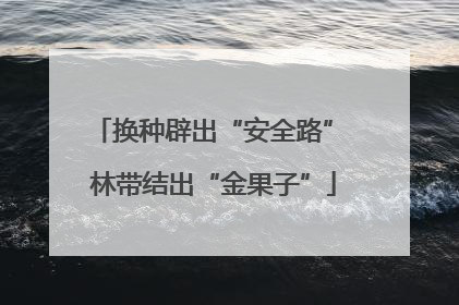 换种辟出“安全路” 林带结出“金果子”
