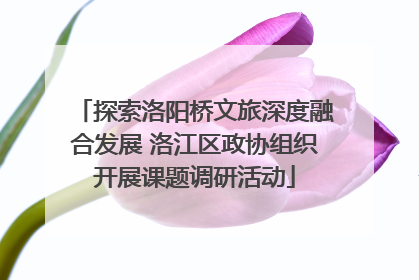 探索洛阳桥文旅深度融合发展 洛江区政协组织开展课题调研活动