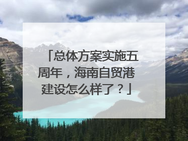 总体方案实施五周年，海南自贸港建设怎么样了？