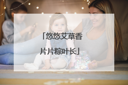 悠悠艾草香 片片粽叶长