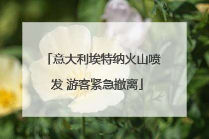 意大利埃特纳火山喷发 游客紧急撤离