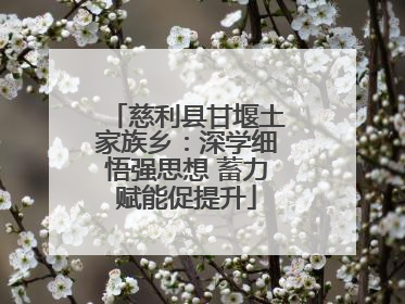 慈利县甘堰土家族乡：深学细悟强思想 蓄力赋能促提升