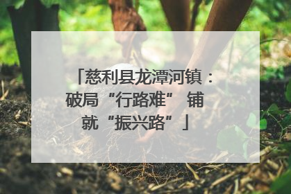 慈利县龙潭河镇：破局“行路难” 铺就“振兴路”