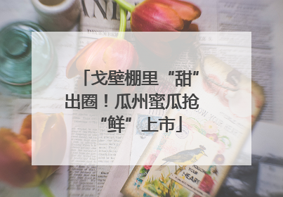 戈壁棚里“甜”出圈！瓜州蜜瓜抢“鲜”上市