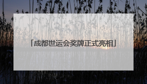 成都世运会奖牌正式亮相