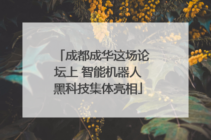 成都成华这场论坛上 智能机器人黑科技集体亮相