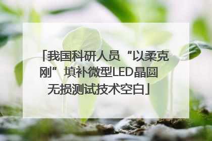 我国科研人员“以柔克刚”填补微型LED晶圆无损测试技术空白