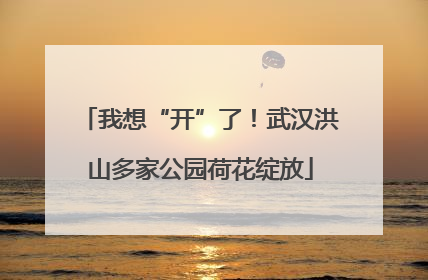 我想“开”了！武汉洪山多家公园荷花绽放