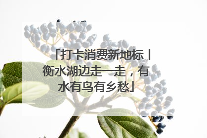 打卡消费新地标丨衡水湖边走一走，有水有鸟有乡愁