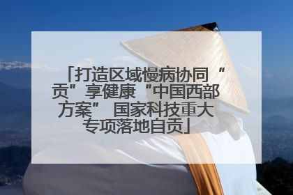 打造区域慢病协同“贡”享健康“中国西部方案” 国家科技重大专项落地自贡