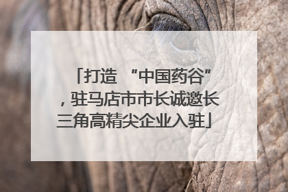 打造 “中国药谷”，驻马店市市长诚邀长三角高精尖企业入驻
