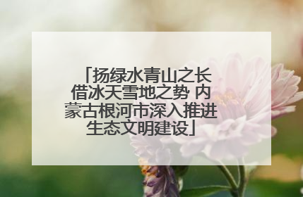 扬绿水青山之长 借冰天雪地之势 内蒙古根河市深入推进生态文明建设