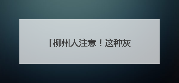 柳州人注意！这种灰黑色小虫看到一只，家里很可能已有一万只