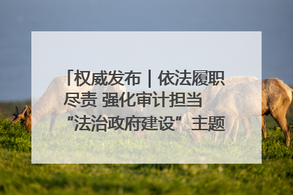 权威发布｜依法履职尽责 强化审计担当 “法治政府建设”主题系列新闻发布会市审计局专场召开