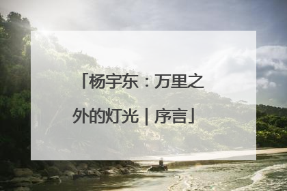 杨宇东：万里之外的灯光｜序言