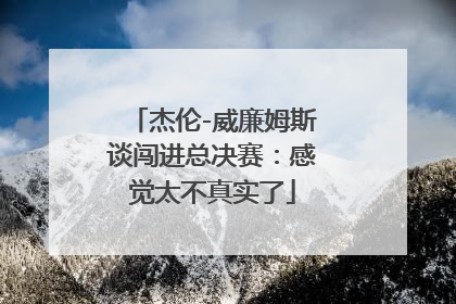 杰伦-威廉姆斯谈闯进总决赛：感觉太不真实了