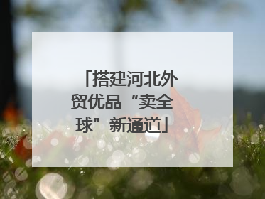 搭建河北外贸优品“卖全球”新通道