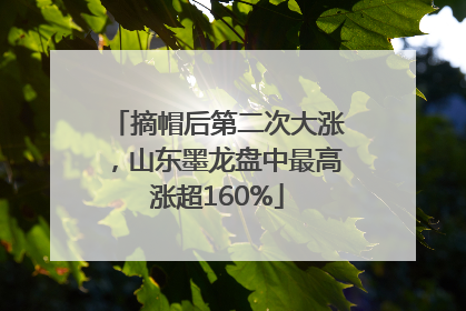 摘帽后第二次大涨，山东墨龙盘中最高涨超160%