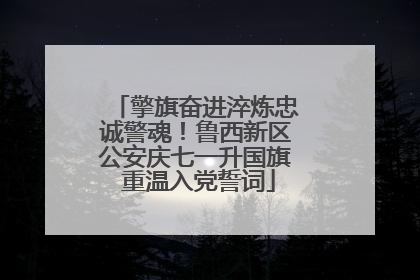 擎旗奋进淬炼忠诚警魂！鲁西新区公安庆七一升国旗 重温入党誓词
