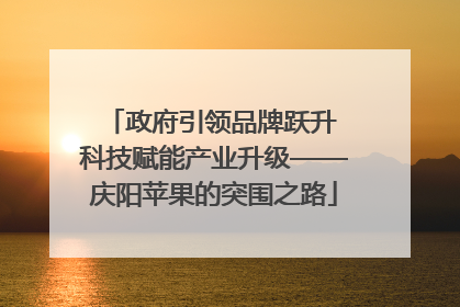 政府引领品牌跃升 科技赋能产业升级——庆阳苹果的突围之路