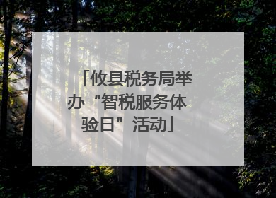 攸县税务局举办“智税服务体验日”活动