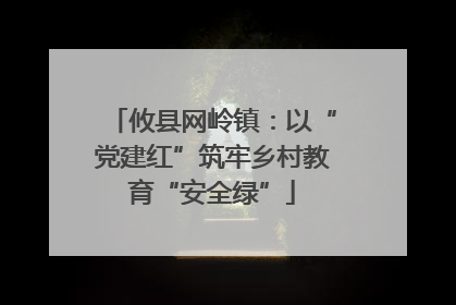 攸县网岭镇：以“党建红”筑牢乡村教育“安全绿”