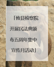 攸县检察院开展民法典颁布五周年集中宣传月活动