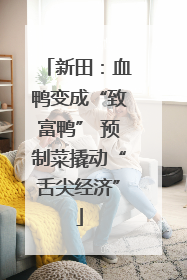 新田：血鸭变成“致富鸭” 预制菜撬动“舌尖经济”