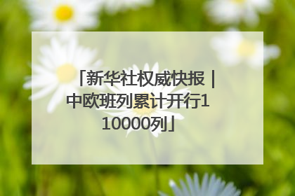 新华社权威快报｜中欧班列累计开行110000列