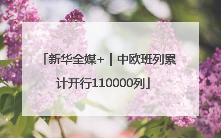 新华全媒+｜中欧班列累计开行110000列