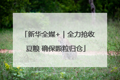 新华全媒+｜全力抢收夏粮 确保颗粒归仓