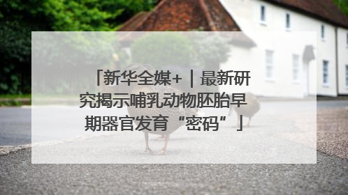 新华全媒+｜最新研究揭示哺乳动物胚胎早期器官发育“密码”