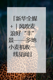 新华全媒+｜风吹麦浪好“丰”景——多地小麦机收一线见闻