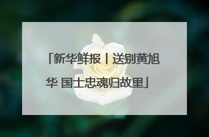 新华鲜报丨送别黄旭华 国士忠魂归故里