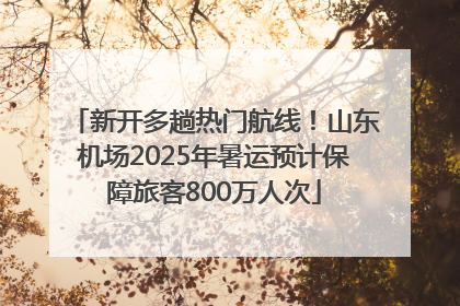 新开多趟热门航线！山东机场2025年暑运预计保障旅客800万人次