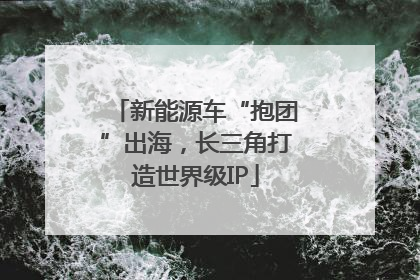 新能源车“抱团”出海，长三角打造世界级IP