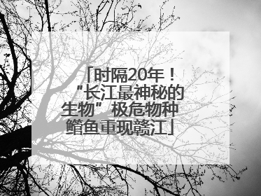 时隔20年！“长江最神秘的生物”极危物种鳤鱼重现赣江