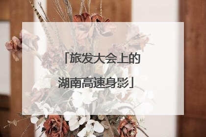 旅发大会上的湖南高速身影