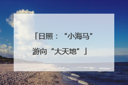日照：“小海马”游向“大天地”