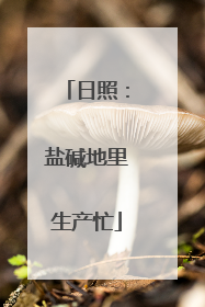 日照：盐碱地里生产忙