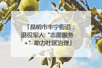 昆明市丰宁街道：退役军人“志愿服务+”助力社区治理